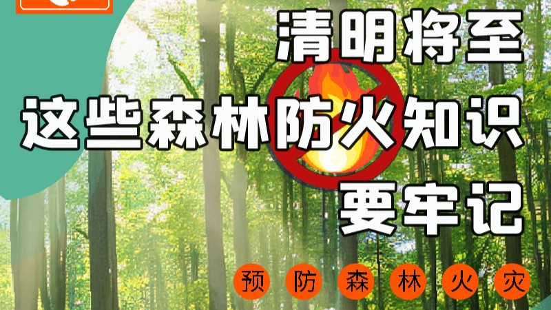 【甘快看】圖解|緊繃“安全弦”！清明，這些森林防火知識要牢記