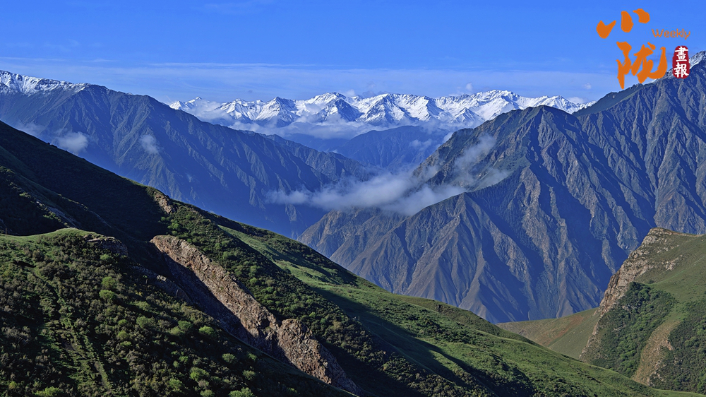 【小隴畫(huà)報(bào)·384期】夏日祁連山 冰雪與草原的完美邂逅