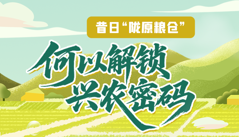 【理響中國·話隴點睛（3）】昔日“隴原糧倉”，何以解鎖“興農(nóng)密碼”